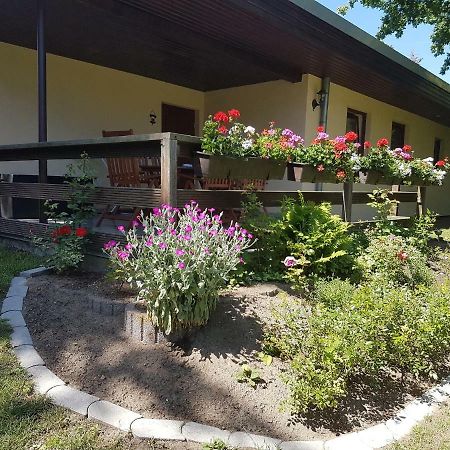 شقة Ferienwohnanlage "Am Bernsteinsee" ديارهاجين المظهر الخارجي الصورة